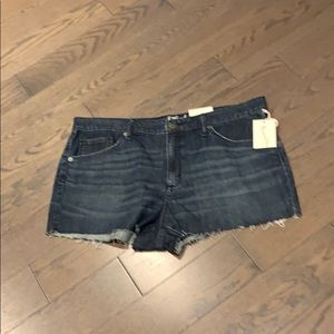 NWT High Rise Cutoffs